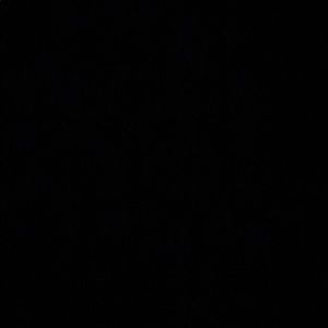 Meet your Posher, Haven